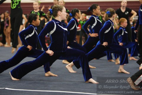 AGC Rec Gymnastics (Levels 1–4)